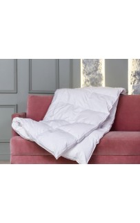 FD-1240 Одеяло WHITE FAMILIE DOWN всесезонное с бортиком 200х220 FD-1240 Одеяло WHITE FAMILIE DOWN всесезонное с бортиком 200х220