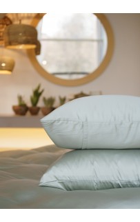 Наволочки Olive Brilliant Grass 50х90 (2шт)