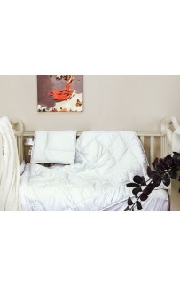 BC-115 Набор BABY COTTON GRASS всесезонное одеяло 100х150  /подушка 40х60