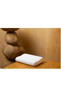 -6 Подушка MEMORY TRAVEL GRASS 38х26х8-6