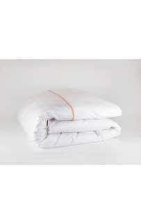 Пододеяльник SALZBURG NOBLE ROSE GRASS 200х200