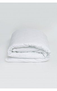 PA200 Постельное белье Paisley Palette Grass Евро